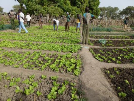 Lors de séjour, visite de jardins