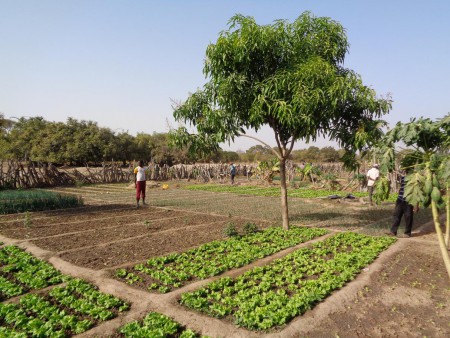 Visite d'un jardin installé près d'une retenue d'eau